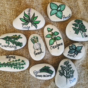 Garden herbs rock magnets, kitchen magnets, perfect gift for gardener, herb garden painted rock magnets, set of herbs rock magnets,