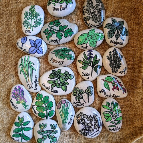 Herb Garden Stones, Painted rock, herb marker, Garden Club Gift, Gardening Stones, Painted Rocks, Gardener Gift, Garden Marker, Herb markers