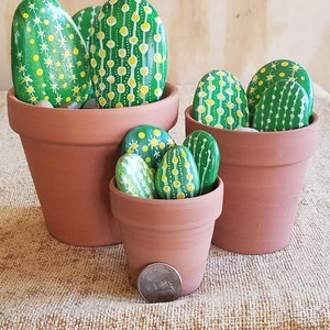 Painted rock cactus, Cactus Plant Home Decor, Hand-Painted Desert Stone Art, home accent,Perfect Birthday Gift, painted Rocks, painted rock