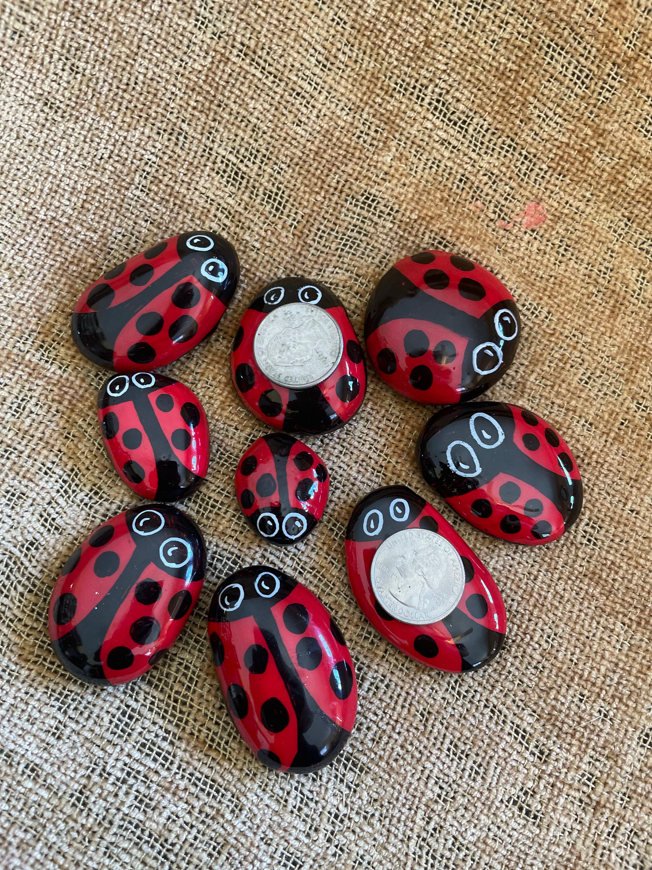 Outdoor Decorative Stones - Ladybug, Butterfly & Sun Stepping stones —  Gardner Time