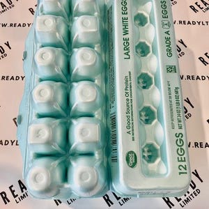 10x Styrofoam 12 Count Egg Carton