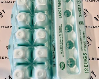 Styrofoam 12 Count Egg Carton 6x