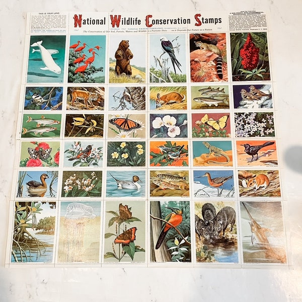 Vintage National Wildlife Conservation Stamps 1967 Sheet 36 Stamps