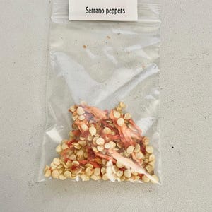 LIVE PLANT SEEDS Serrano Peppers 3g 100+ Seeds