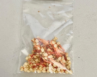 LIVE PLANT SEEDS Serrano Peppers 3g 100+ Seeds