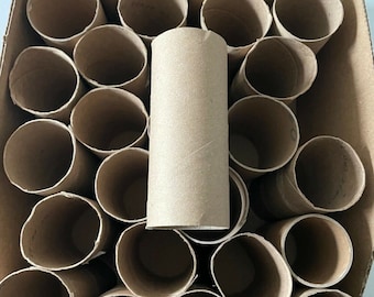 Empty Toilet Paper Rolls Craft Project