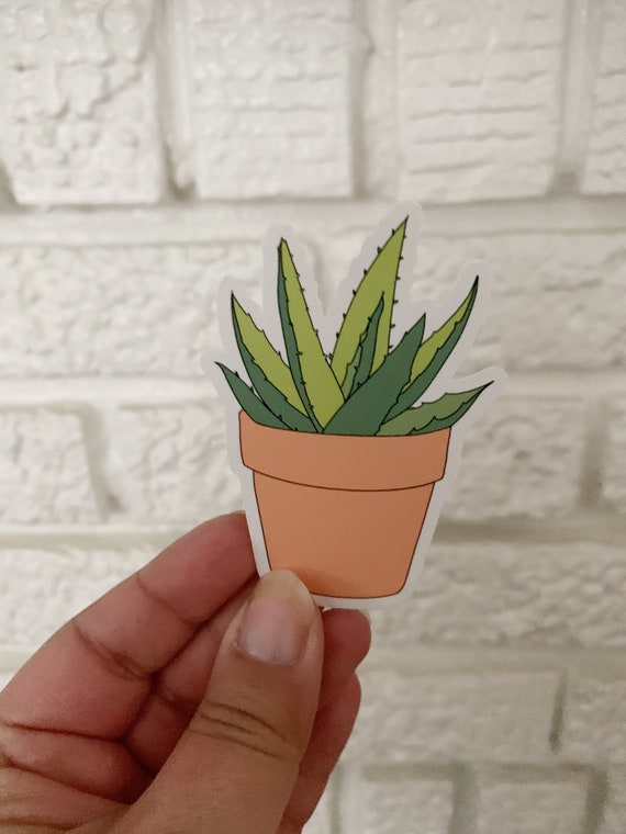 clear aloe vera gel Aloe Vera Gel – Nardo's Natural main image 1