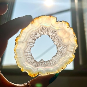 May include: A translucent agate geode slice, held up to the sunlight. The geode features concentric bands of white, cream, and orange hues, with a central cavity. The outer edge has a golden-brown color.