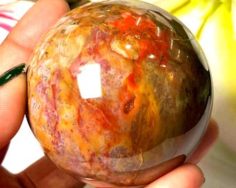 Versteinertes Holz Sphäre Ball Orb Heilkristalle 298 Gramm