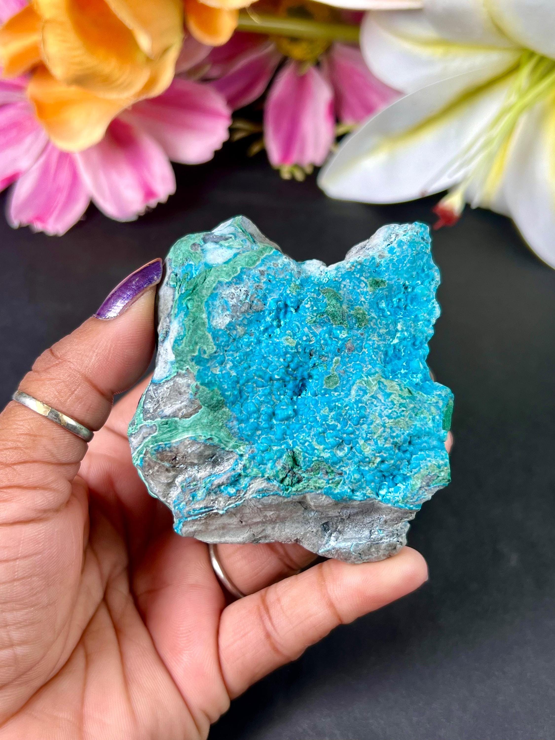 マラカイト母岩標本上のブドウ状クリソコラ、原石マラカイトおよび