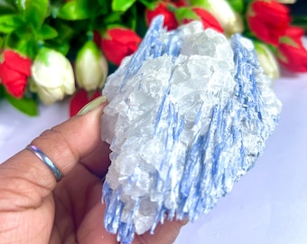 Rarest Natural Blue Kyanite With Quartz Stone Rough 325 Gram