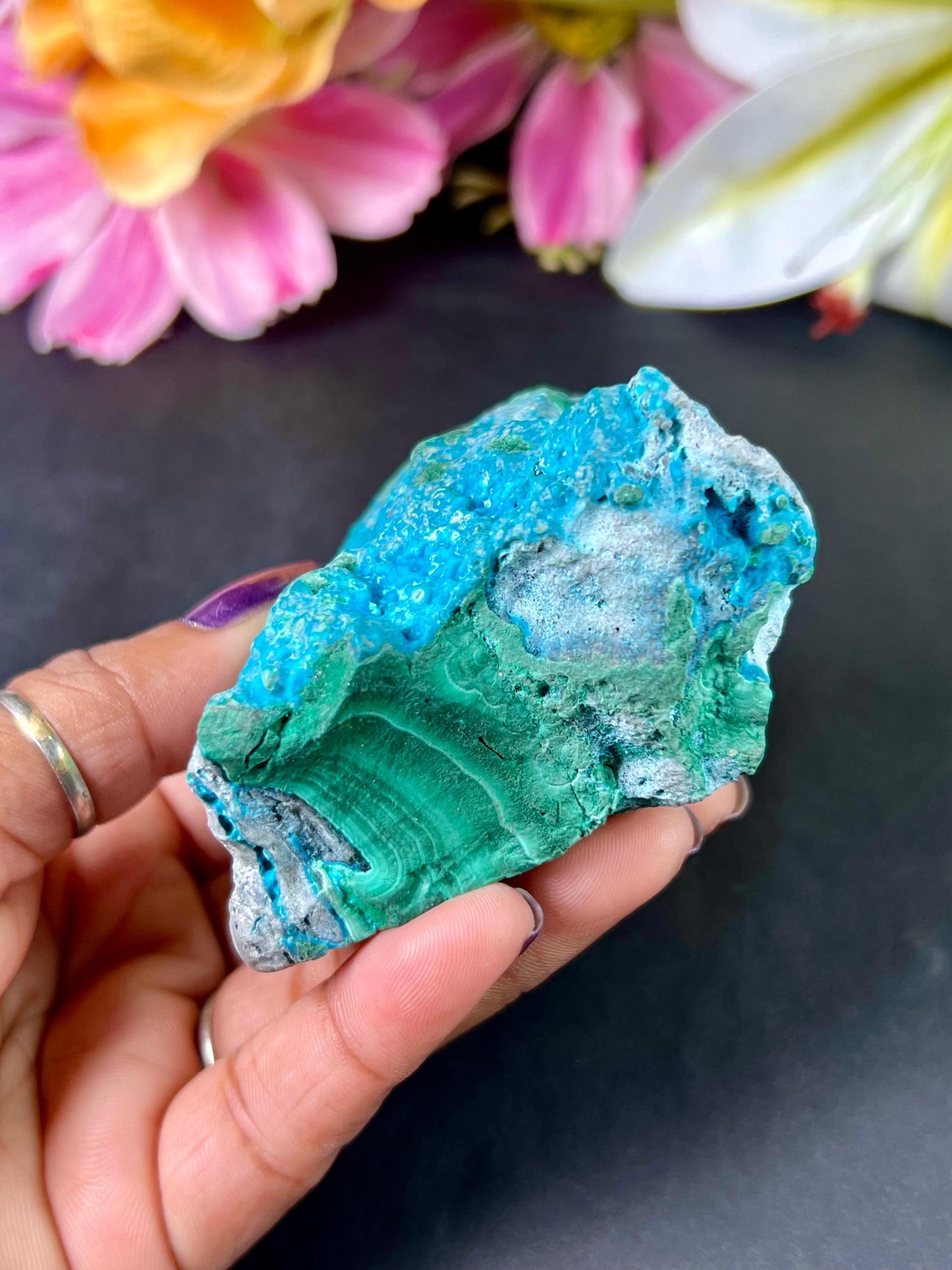 マラカイト母岩標本上のブドウ状クリソコラ、原石マラカイトおよび