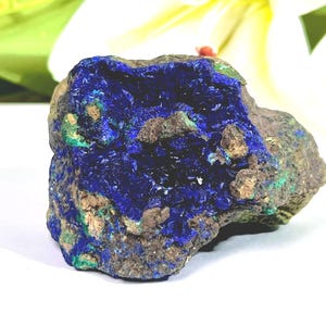 May include: A natural azurite stone, showcasing a vibrant blue crystalline formation. The rock features patches of green and brown, with a rugged, uneven texture. The mineral is set against a white backdrop, with a blurred floral element in the background.