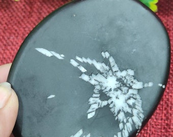 Chrysanthemum Stone,Flower Stone, Black & White Stone, Chakra Stone For Move Forward, Enable You To Live The Life Of Your Dreams 89 Gram