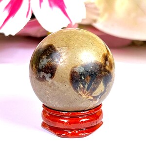Può includere: Una gemma sferica con motivi marroni e marrone scuro, esposta su un piccolo supporto rotondo in legno rosso. La pietra ha una superficie liscia e lucida. Lo sfondo include un fiore rosa e bianco.
