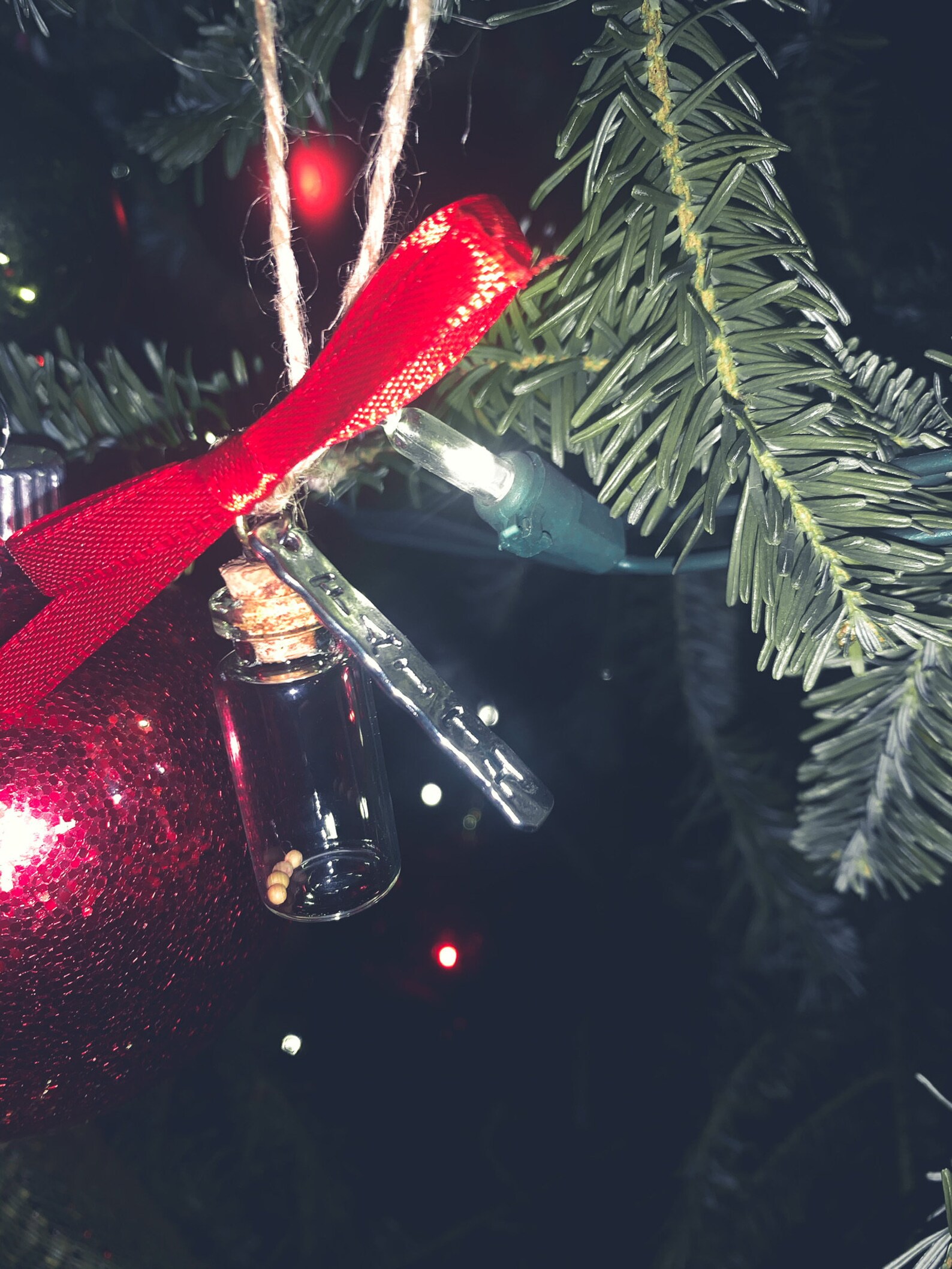 Mustard Seed Christmas Ornament Christian Gift Family Etsy