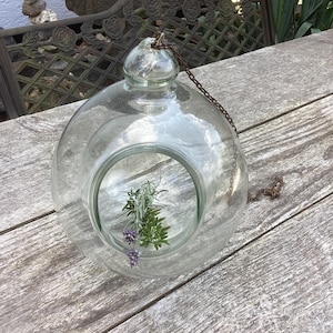 Könnte beinhalten: Ein klares Glasterrarium mit rundem Körper und kleiner Öffnung. Eine kleine Kette ist oben befestigt. Im Inneren des Terrariums befinden sich Zweige mit grünen und lila Blüten. Das Terrarium steht auf einer verwitterten Holzoberfläche.