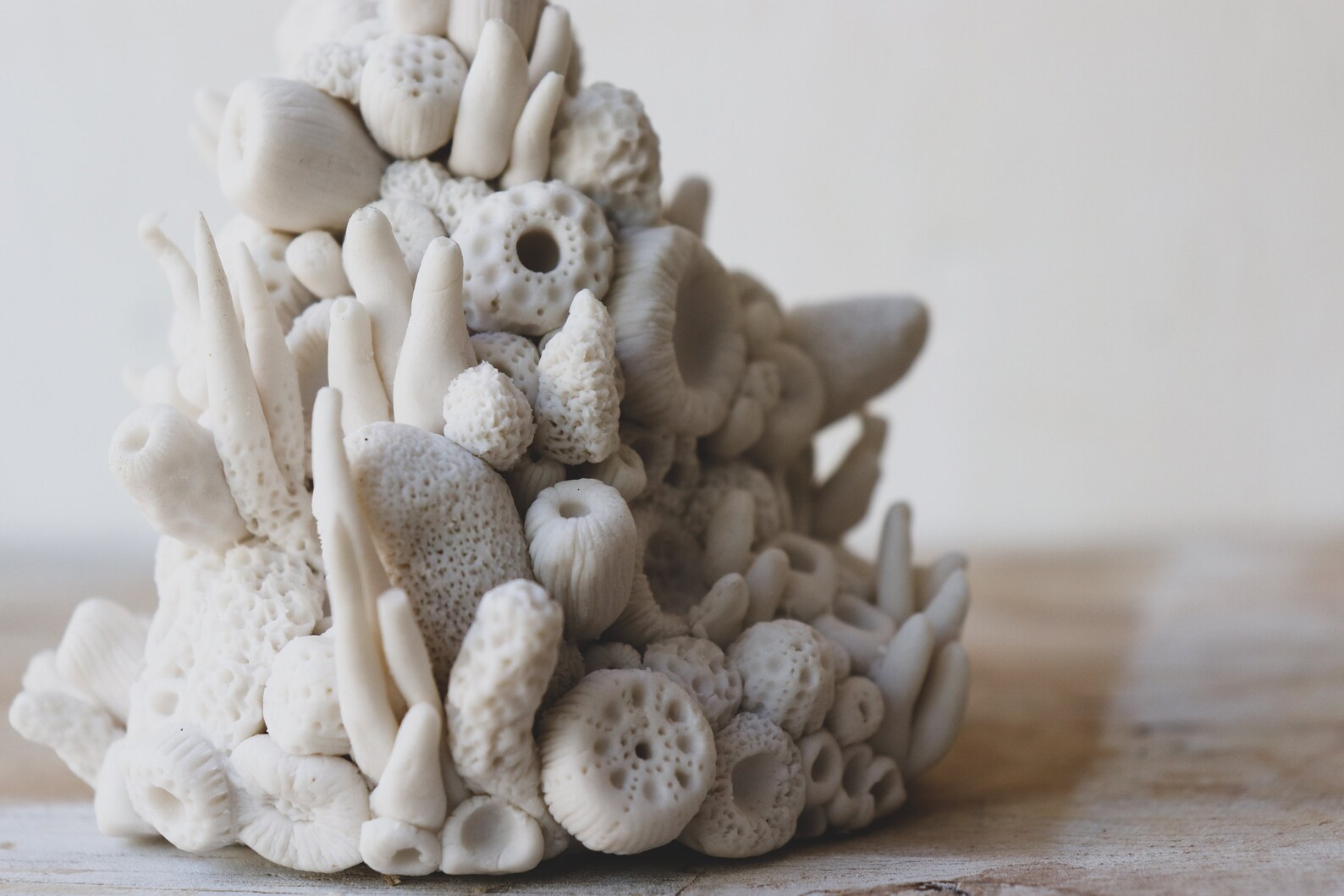Coral Sculpture Etsy
