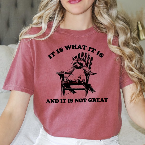 It Is What It Is And It Is Not Great - Comfort Colors, Funny Raccoon, Cartoon Meme Top, Vintage Cartoon, Gag gift, Vintage Drawing