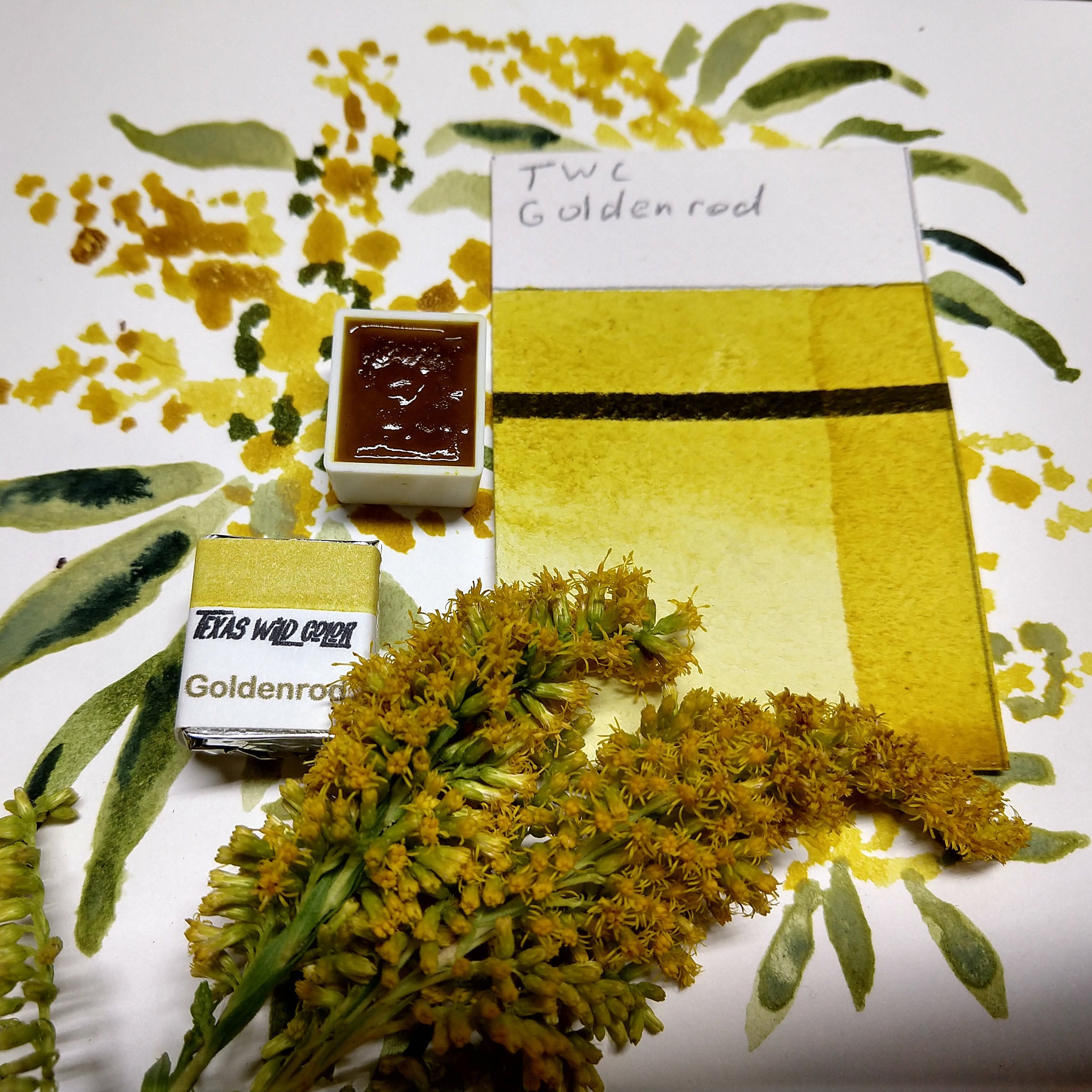 Goldenrod Watercolor Etsy
