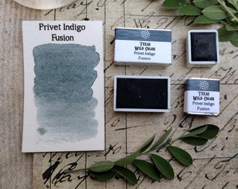 Privet Indigo Fusion Watercolor
