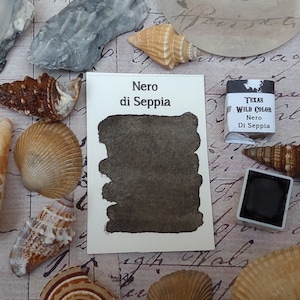 May include: A watercolor paint set with the name "Nero di Seppia" on a white card, alongside a small paint container and a box labeled "Texas Wild Color Nero Di Seppia." Seashells in various shapes and colors surround the set.