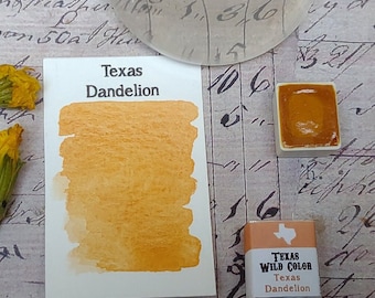 Texas Dandelion Watercolor