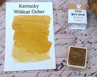 Kentucky Wildcat Ocher Watercolor - TWC Landmark Series