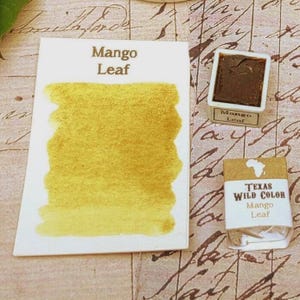 African Mango Leaf Watercolor - Africa Wild Arts Series