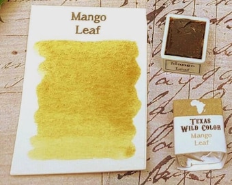 African Mango Leaf Watercolor - Africa Wild Arts Series