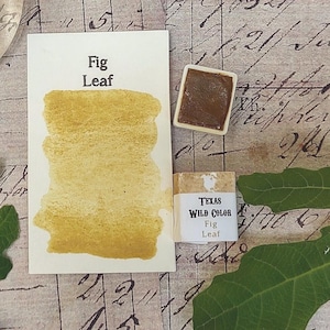 Texas Fig Leaf Watercolor