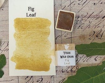Texas Fig Leaf Watercolor