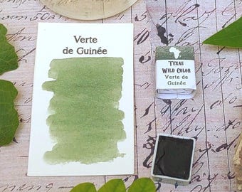 African Verte de Guinée Watercolor - Africa Wild Arts Series