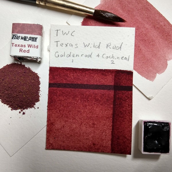 Texas Wild Red Watercolor