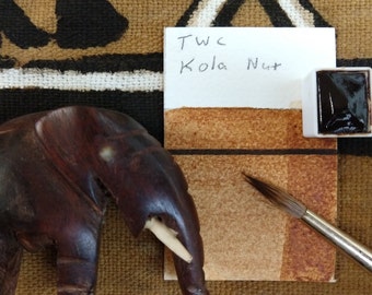 African Kola Nut Watercolor