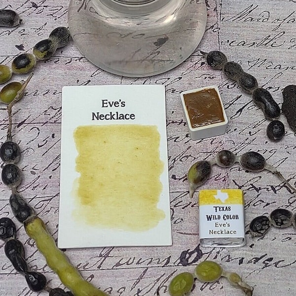 Texas Eve's Necklace Watercolor