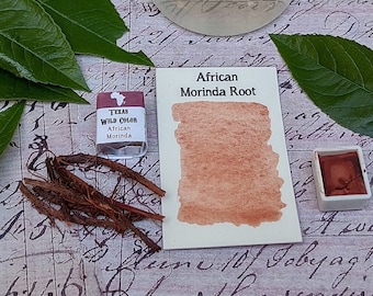 African Morinda Root Red Watercolor
