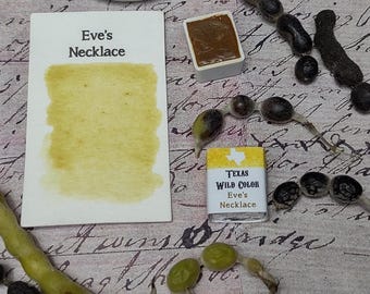 Texas Eve's Necklace Watercolor