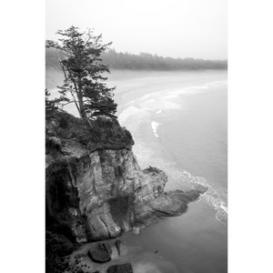 May include: A black and white photograph of a rocky cliff with a lone tree growing on top. The cliff overlooks a foggy beach with waves crashing on the shore.