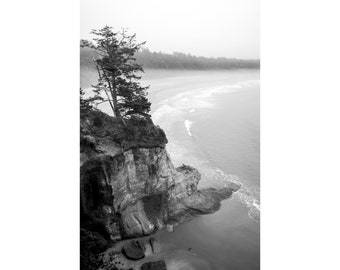 May include: A black and white photograph of a rocky cliff with a lone tree growing on top. The cliff overlooks a foggy beach with waves crashing on the shore.