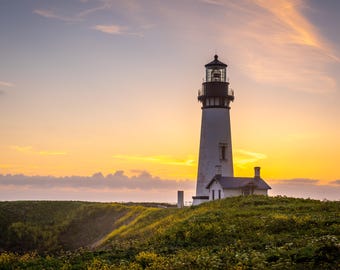 May include: A tall, white lighthouse with a black top stands on a grassy hill, under a colorful sunset sky. The lighthouse has a small attached building. Yellow wildflowers dot the green landscape.