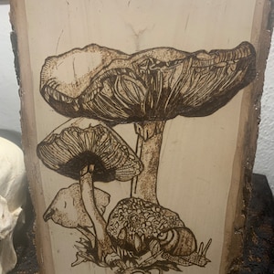 Custom Hand Burned Mushrooms with snail  Pyrography