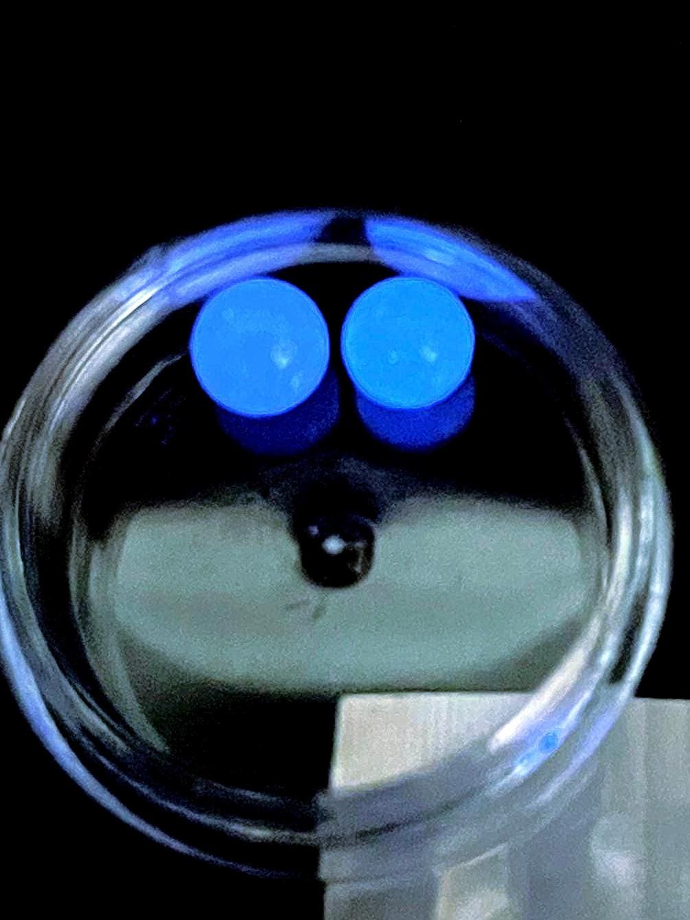 Light Blue glow in the dark quartz Terp Pearl (6mm)(Pair)