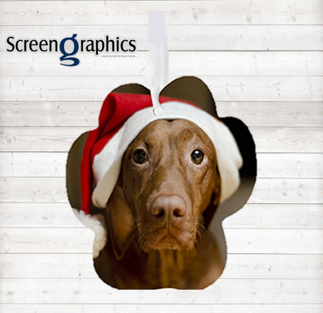 Pet Photo Ornament, Personalized Pet Ornament, Christmas Gift for Pet ...