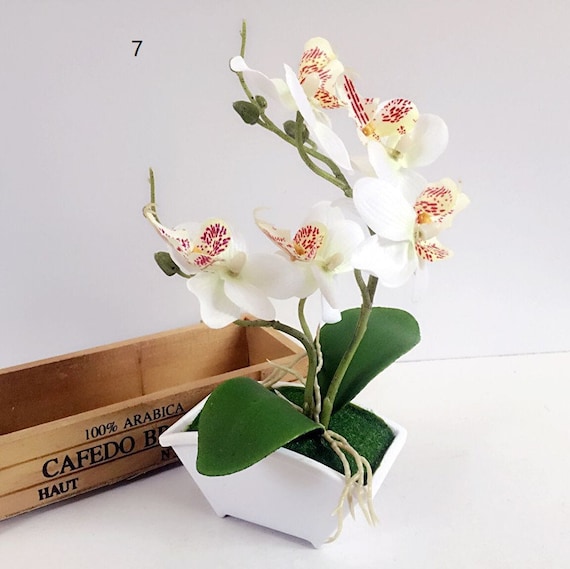 Simulated Potted Plant Butterfly Orchid Flower Real Touch Gift 23cm Ornament