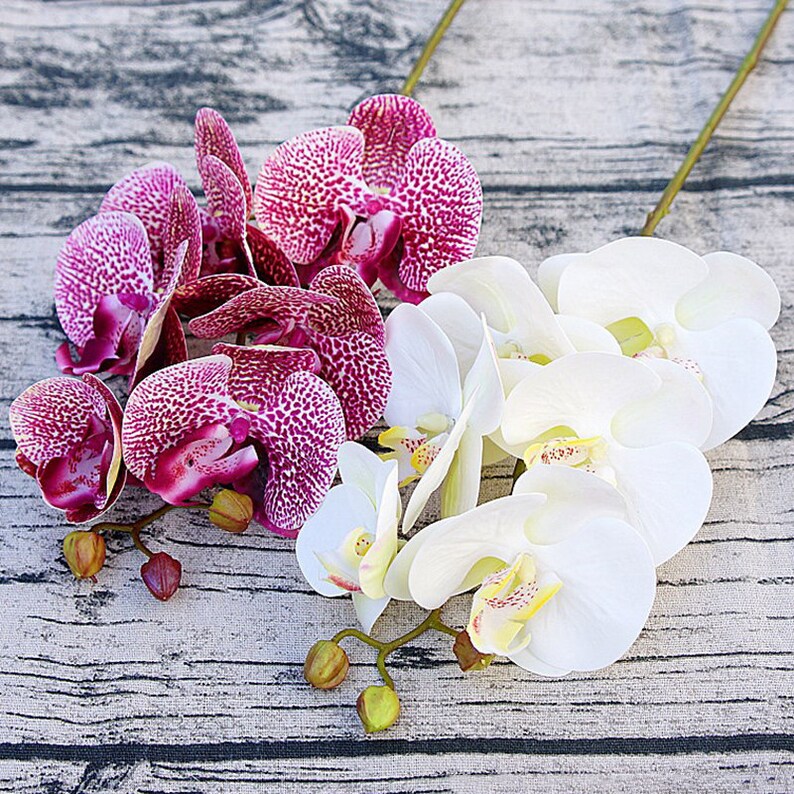 Artificial Fake Silk Flower Phalaenopsis Moth Orchid Home Garden Decoration 70cm