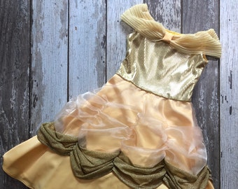 Belle, Princess Inspired, Costume, Dress, Sizes 2T, and 6