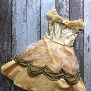 Belle, Princess Inspired, Costume, Dress, Sizes 2T, and 6