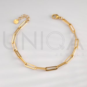 Gold Snake Anklets Bracelet, Herringbone chain Anklet, Thick Curb Chain Gold Anklet, Waterproof Anklet for Women, Paperclip chain anklet Paperclip