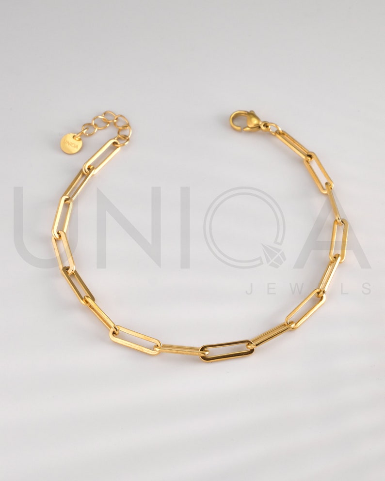 Gold Snake Anklets Bracelet, Herringbone chain Anklet, Thick Curb Chain Gold Anklet, Waterproof Anklet for Women, Paperclip chain anklet Paperclip